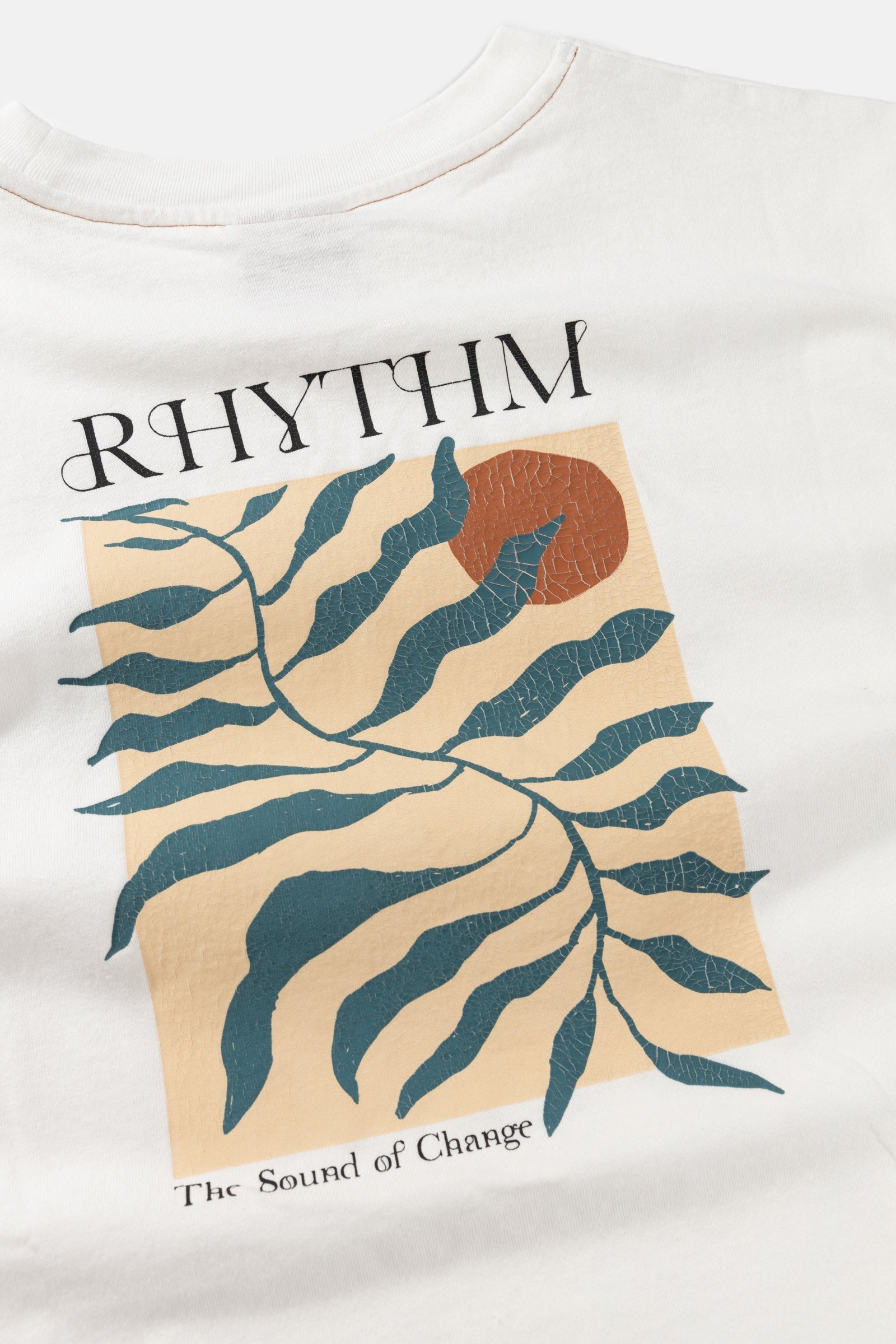 ※ rikomi⭐︎ 　Vin .*˚‧Tシャツ 044A8092_35b5d29e-9cb2-4287-