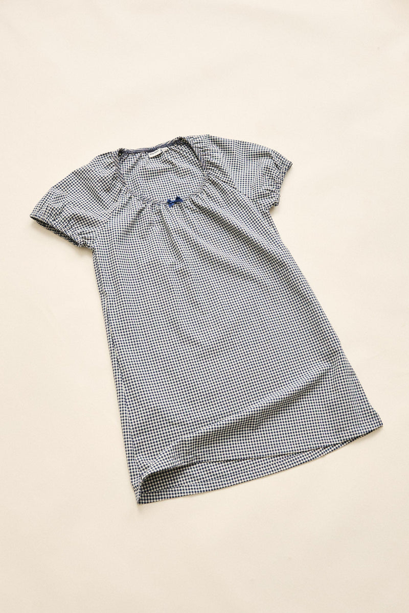 Coast Mini Dress Navy Check