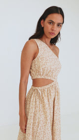 Nazare Paisley One Shoulder Maxi Dress Clay